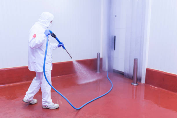 Best Roof Washing  in Coral Springs, FL