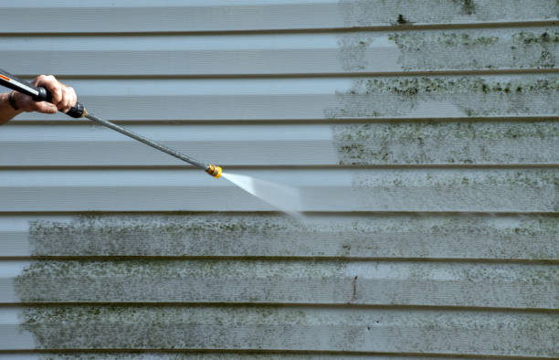 Best Driveway Pressure Washing  in Coral Springs, FL